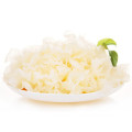 White fungus mushroom/Fresh Tremella Mushrooms